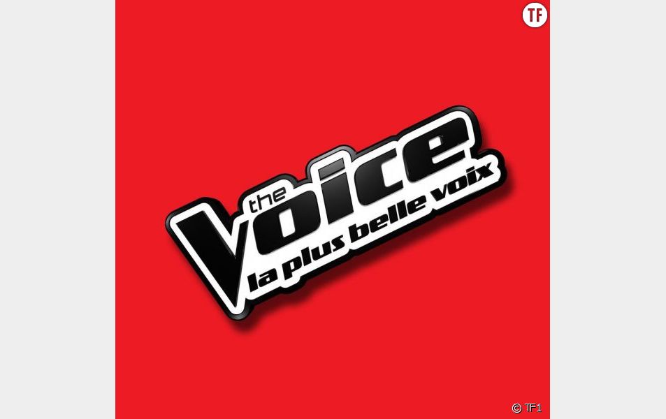 The Voice 2017 Les Troisiemes Battles A Revoir Sur Tf1 Replay 29 Avril Terrafemina