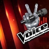 The Voice 2017 : le grand show à revoir sur TF1 Replay (20 mai)