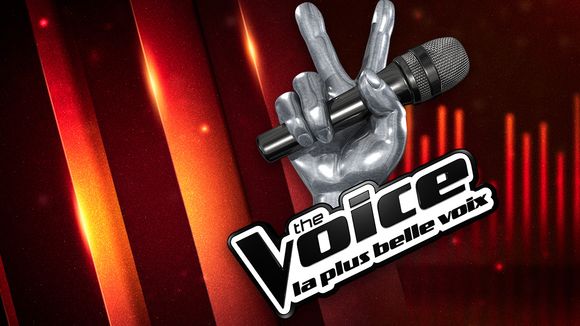 The Voice 2017 : le grand show à revoir sur TF1 Replay (20 mai)