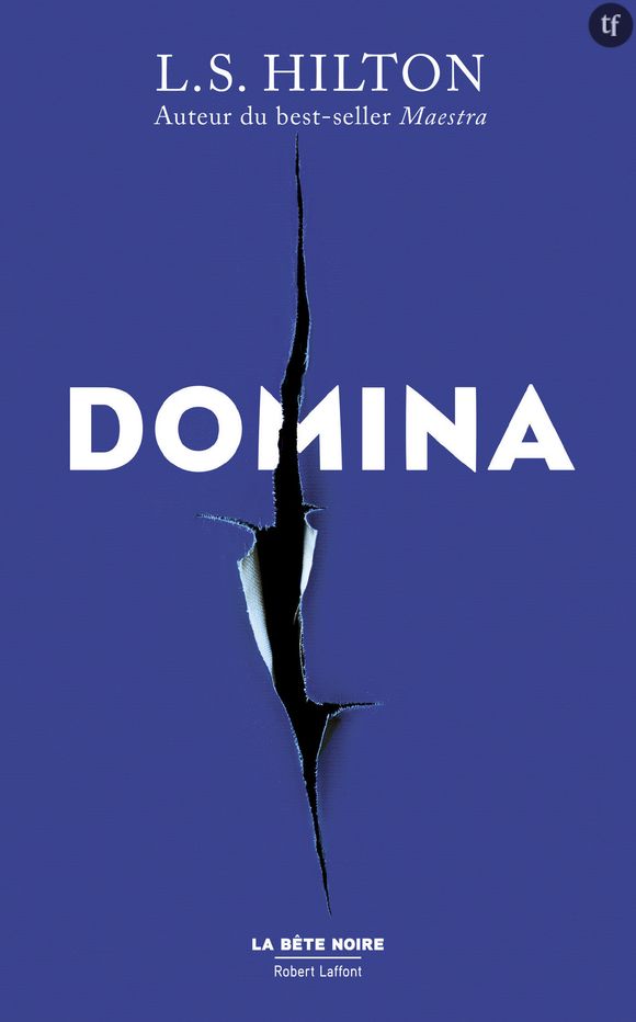 "Domina" : faut-il se laisser charmer par le nouveau livre de L.S. Hilton ?