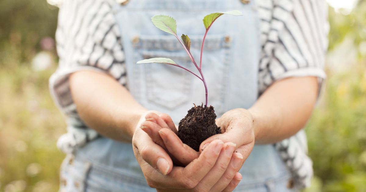 Devenir Vegan Quels Sont Les Bienfaits Pour La Plan Te Terrafemina