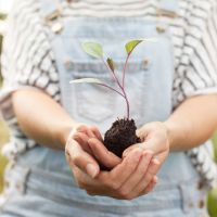 Devenir vegan : quels sont les bienfaits pour la planète ?