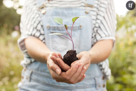 Devenir vegan : quels sont les bienfaits pour la planète ?