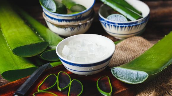 Le jus d'aloe vera, le nouvel allié beauté et santé des filles healthy