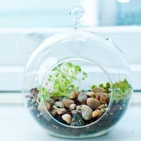 15 idées de jolis terrariums dénichées sur Pinterest