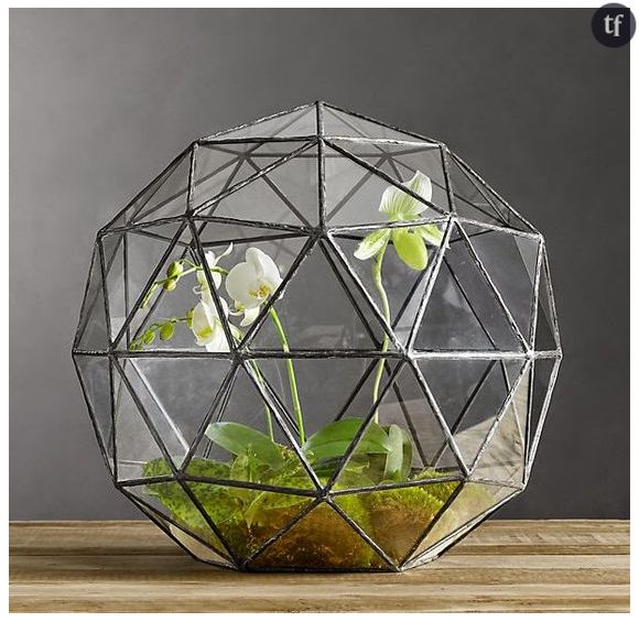 Un terrarium floral