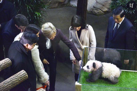 Brigitte Macron le 4 décembre au baptême du panda du zoo de Beauval