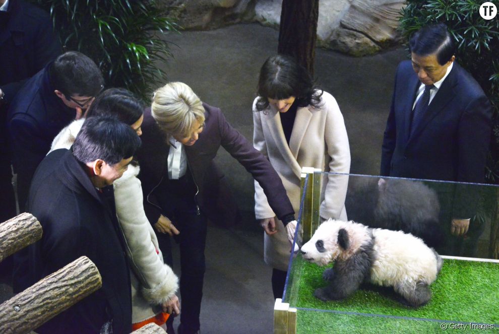 Brigitte Macron le 4 décembre au baptême du panda du zoo de Beauval
