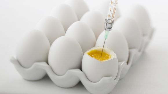 Pourquoi les femmes vont-elles à l'étranger pour recourir à la PMA ?