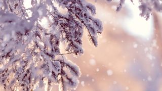 5 rituels magiques du solstice d'hiver pour se mettre l'esprit en fête