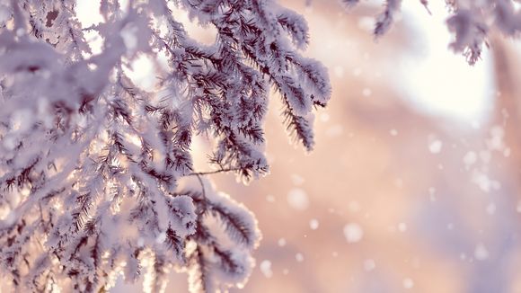 5 rituels magiques du solstice d'hiver pour se mettre l'esprit en fête