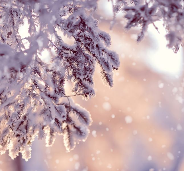 Solstice d'hiver : 5 rituels magiques pour les fêtes - Terrafemina