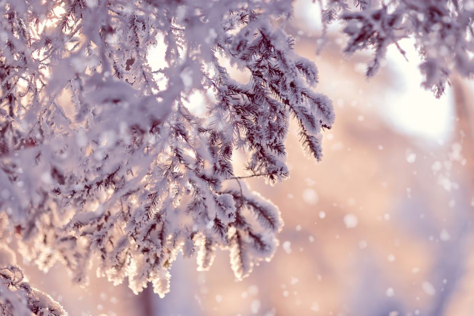 5 rituels magiques du solstice d'hiver pour se mettre l'esprit en fête