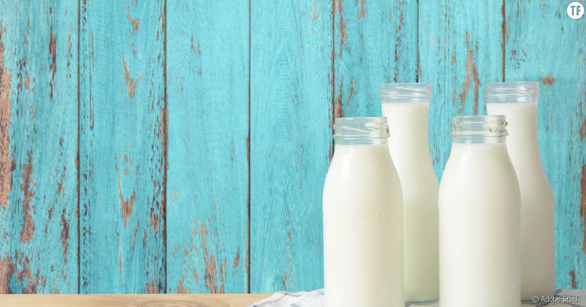 Quel lait végétal est le plus écologique?