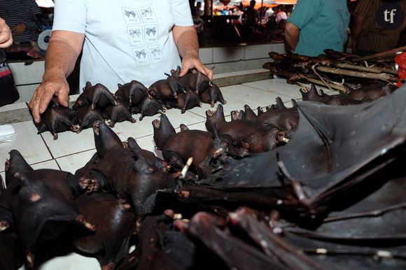 Chauve-souris vendues sur un marché de Berimana, en Indonésie, 8 février 2020