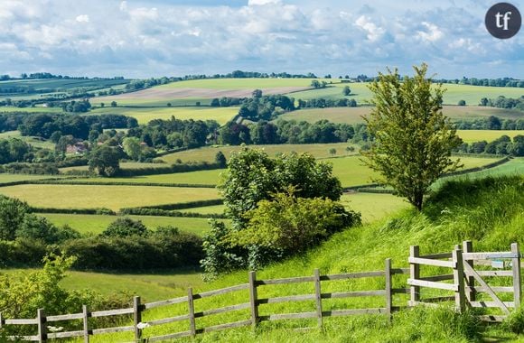 Des campagnes confinées à la "campagne Instagram".