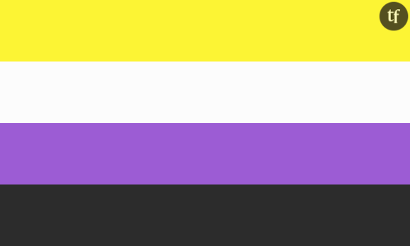 Le "non binary flag", drapeau des personnes non-binaires.