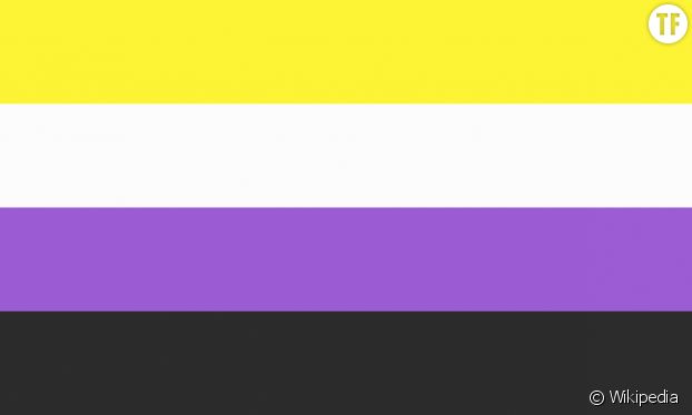 Le "non binary flag", drapeau des personnes non-binaires.