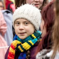 La fondation de Greta Thunberg vient en aide à l'Ile Maurice, meurtrie par la marée noire