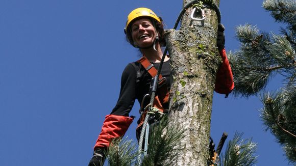 Karine Marsilly, l'élagueuse pionnière qui veut nous faire écouter les arbres