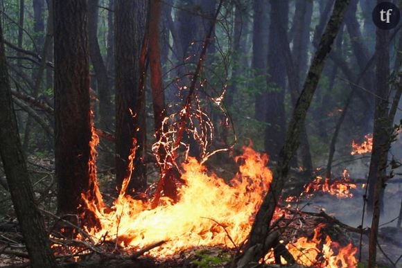 En Yakoutie, les incendies font rage et alarment médias internationaux et associations.