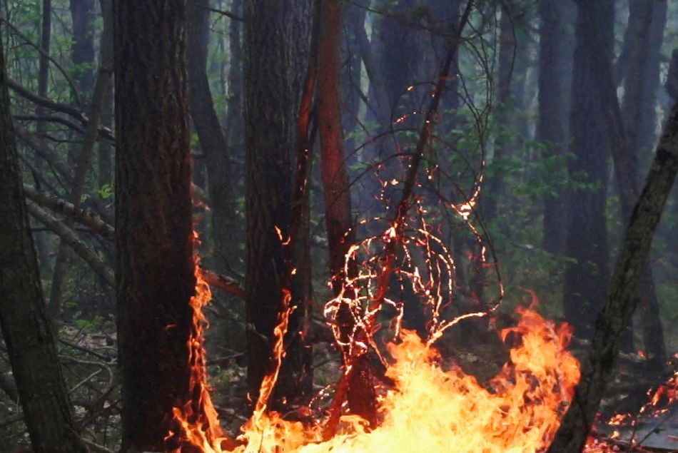 En Yakoutie, les incendies font rage et alarment médias internationaux et associations.
