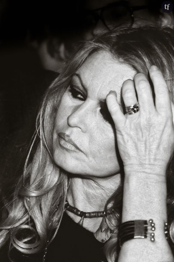 Brigitte Bardot le 13 avril 1985, lors de l'inauguration du nouveau chenil intercommunal de Lille 