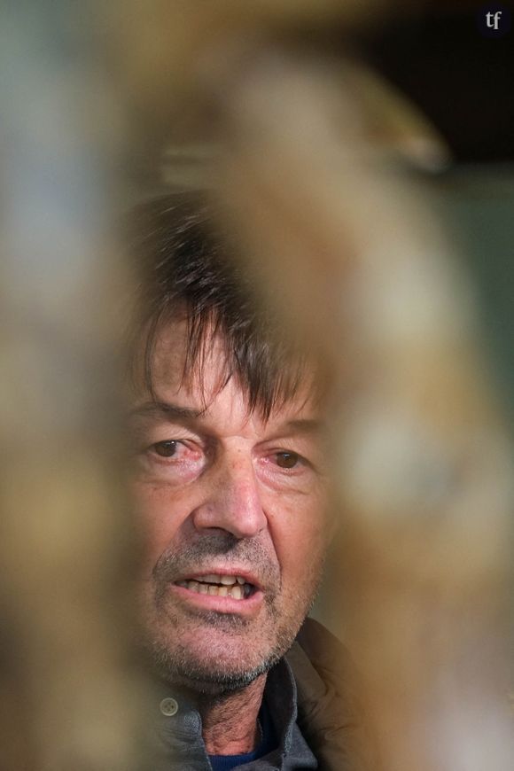 Cinq femmes accusent Nicolas Hulot : les révélations accablantes d'"Envoyé spécial"