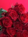 Offrir des roses pour la Saint-Valentin, une fausse bonne idée ?