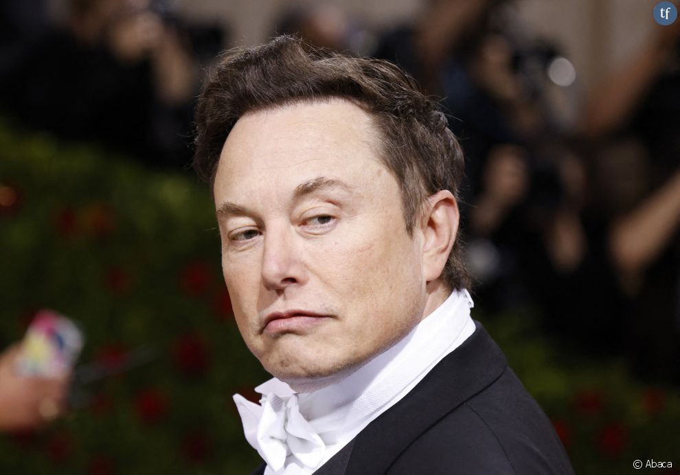 Elon Musk trouve que ces pauvres hommes sont mal traités dans &quot;Les Anneaux du pouvoir&quot;