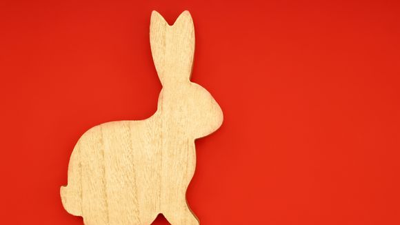 C'est l'année du Lapin : 5 actions pour défendre cet animal exploité