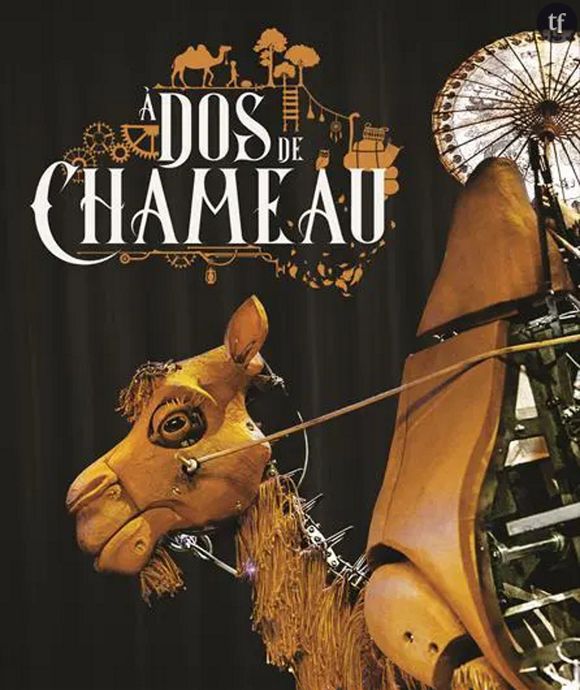 "A dos de chameau"