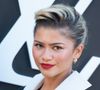 Dans la même vidéo, une seule célébrité a gagné la validation de ces hommes : Zendaya. "Zendaya est vraiment attirante. Elle est belle", s'émerveillent-ils. Les deux compères ne semblent en tout cas pas voir le problème de ce "jeu" sexiste, qui revient régulièrement dans leur podcast. Ils ont ainsi jugé Julia Fox, Pete Davidson, Jennifer Lawrence, ou encore Aubrey Plaza.