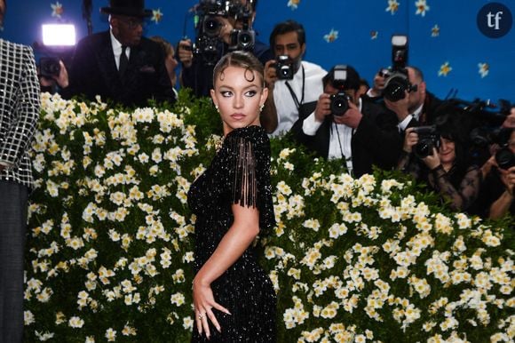 Sur les réseaux, les internautes ont estimé qu'elle n'était pas dans le thème : "Sydney Sweeney doit expliquer en quoi rendre hommage à une femme blanche est du dandysme noir".