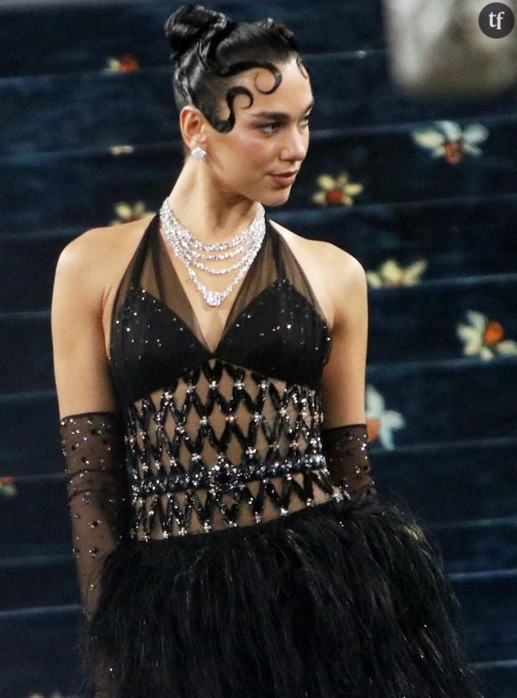 C'est aussi ce qu'a vécue Dua Lipa lors de ses performances sur scène, quand la chanteuse, toujours très à l'écoute de ses fans, vient à leur rencontre... Et que des fans, masculins notamment, en profitent.