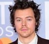 Harry Styles, jadis accusé de queer baiting au gré de ses diverses performances scéniques (où il multiplie volontiers les robes) et interviews, est enfin de retour. Et l'auteur de "As it was" se voit couvert de fleurs par ses fans, qui expliquent sa beauté.
