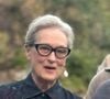 Une autre célébrité l'avait déjà fait remarqué : Meryl Streep. En 2011, elle déclarait : "J'aimerais que Martin Scorsese s'intéresse de temps en temps à un personnage féminin, mais je ne sais pas si je vivrai aussi longtemps". A 75 ans, elle n'a toujours pas joué dans un film du cinéaste.