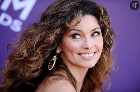 Cette interview qu'a accordé Shania Twain au site Yahoo Entertainment en dit également long sur le sexisme subi depuis les années 90 : "J'ai entendu tellement de choses, vous savez, comme : 'Shania Twain a ruiné la musique country' ou ' le pays ne sera plus jamais le même depuis Shania'... Et il y a les complexes physiques"