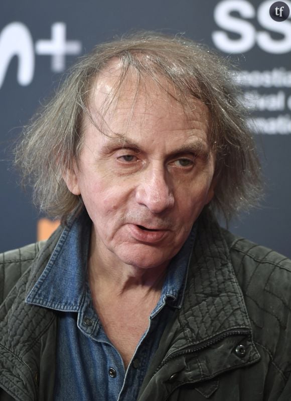 C’est l’amour d’un chien, et plus globalement, d’un animal, envers son maître, que le romancier chérit : "On peut s'attacher énormément à un animal domestique, et ça, c'est encore plus violent, quand il disparaît. On sait parfaitement que cela va arriver". A un Frédéric Taddéi caustique, il énonce encore, à demi rigolard (dans son genre) : “Cela étant, l’amitié entre les hommes, de manière globale, ça a plein d’inconvénients. Entre autres : les gens meurent. Supposons que l’on ait un ami, et bien, il peut mourir, ça arrive”. Une amitié à laquelle l’auteur semble croire davantage que celle qui pourrait unir femmes et hommes. 

La littérature de Michel Houellebecq est celle de la solitude masculine.