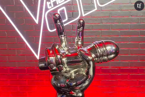 "C’est The Voice division masculine? Aucune chanteuse ne méritait?", peut-on lire sur X.