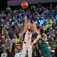 "Ignoble misogynie" : des sextoys balancés sur des basketteuses professionnelles en plein match