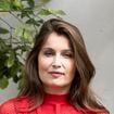"Elle a vieilli", "Encore une robe sous-vêtements", "Vulgaire" : Laetitia Casta ose une tenue audacieuse et subit les critiques des internautes