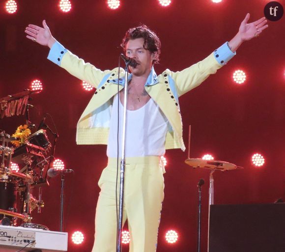 Aperçus main dans la main dans les rues new-yorkaises, Harry Styles et Zoë Kravitz seraient-ils en couple ?