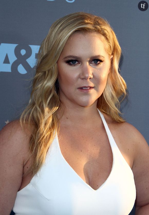 Valeur sûre du SNL, Amy Schumer éclot comme bien des homologues d'une nouvelle génération d'humoristes, l'ère Judd Apatow, principalement marquée par un essor du trash, une plus redoutable minutie dans l'exercice du stand up, et une nouvelle liberté comique pour un public soucieux de voir d'autres visages. C'est l'époque de comédies déjantées et réjouissantes comme Bridesmaids, avec Kristen Wiig et Melissa McCarthy.