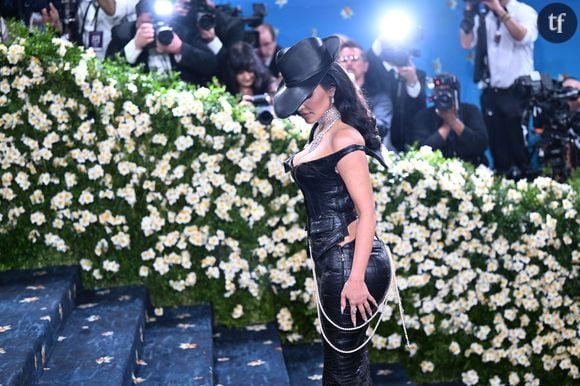 Les internautes ont critiqué le dispositif mis en place pour cacher la star des photographes à son arrivée au tribunal, estimant qu'elle faisait du "cinéma".