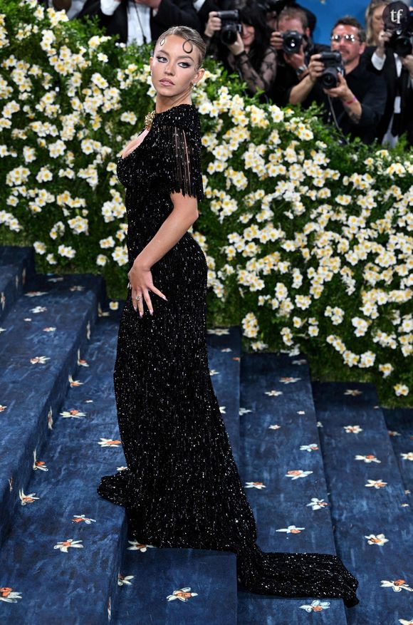 Cette année, le thème du MET Gala s'intitulait "Superfine : Tailoring Black Style" et rendait hommage au dandysme noir.