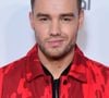 e chanteur britannique Liam Payne vient de disparaître à 31 seulement, des suites d'une chute survenue depuis le troisième étage de son hôtel. L'accident s'est déroulé en Argentine. Auteur-compositeur et guitariste, la voix du tube "What Makes You Beautiful" devait sortir un troisième disque solo très bientôt, rappellent nos confrères de Purecharts.