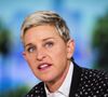 Ellen DeGeneres est encore bel et bien là. Malgré sa discrète mise en retrait médiatique. On vous taille son CV en deux secondes : figure mythique de la télévision américaine, l'érudite du late show, exercice particulier de l'animation US, elle est la première à avoir fait son coming out lesbien en direct à la télévision. Oui, bien avant que Drew Barrymore se dise timidement "bi" entre deux émissions.
