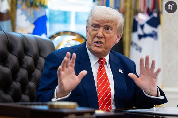 En guise de remerciement, le Président avait attribué au milliardaire le rôle -inventé- de chef du département d’Efficacité gouvernementale (DOGE).