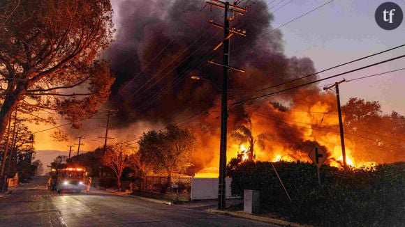 "J'espère qu'il y en aura pour leur dire quand même qu'ils participent activement au réchauffement climatique et que c'est pour ça qu'il y a des incendies de plus en plus nombreux", a déclaré une tiktokeuse.